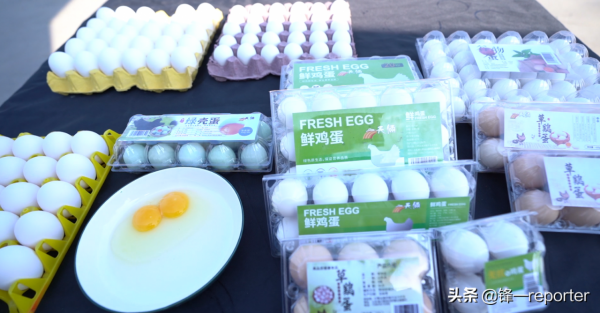 同樣養20萬隻蛋雞，他比別人多收入上百萬元，奧秘是啥？