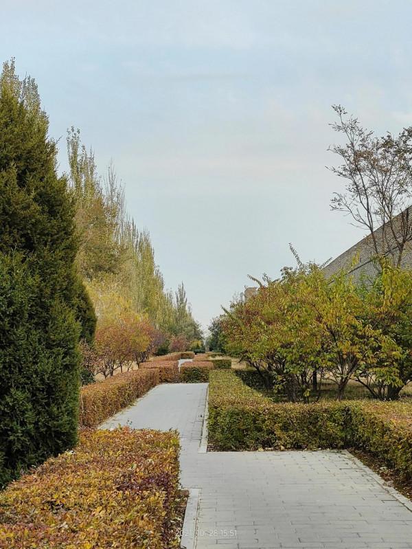 宣化晚秋美景拾零 宣化晚秋美景拾零