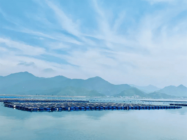 走!帶你體驗一次醉美漁村夜色~ 走!帶你體驗一次醉美漁村夜色~