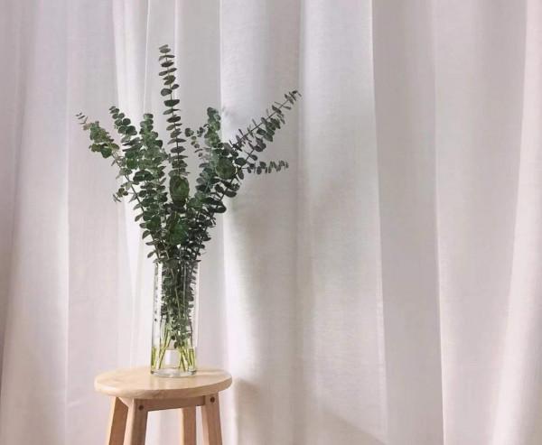 低成本家居好物清單，我理想中的家都來自淘寶和宜家