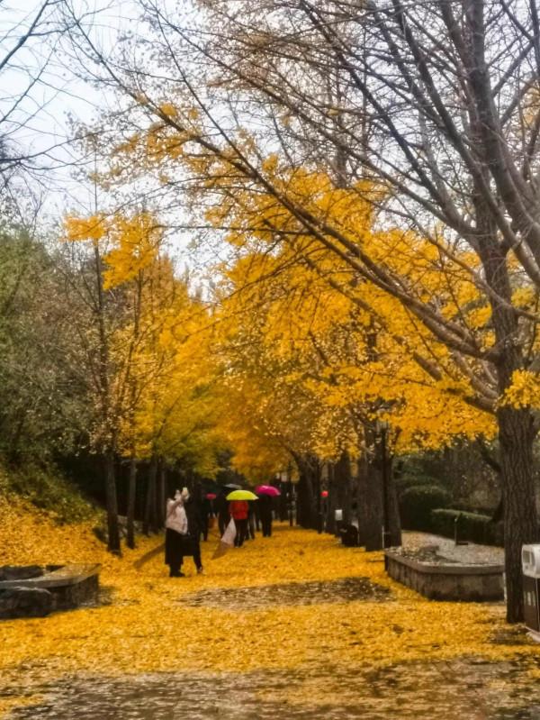 圓明園中買賣街 穿越清朝看熱鬧 圓明園中買賣街 穿越清朝看熱鬧