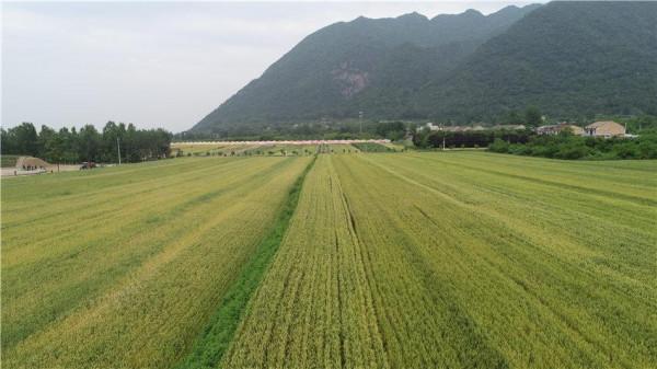 昔日落後的小山村,如今成了全國聞名的旅遊村 昔日落後的小山村,如今成了全國聞名的旅遊村