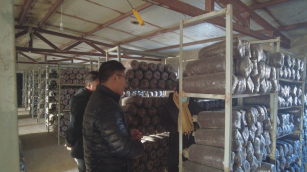 大棚種植，把美好願景“種”出來～