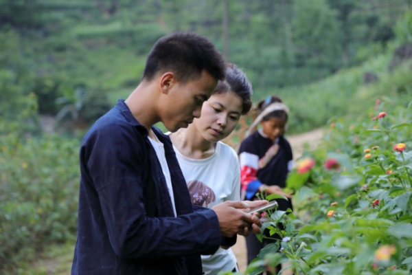 特別策劃：“90後”大學生土法養年豬的奧秘