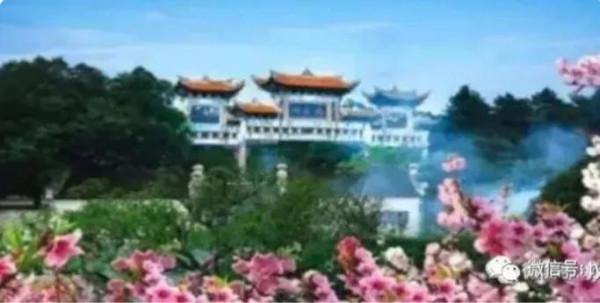 遊桃花源兮 遊桃花源兮