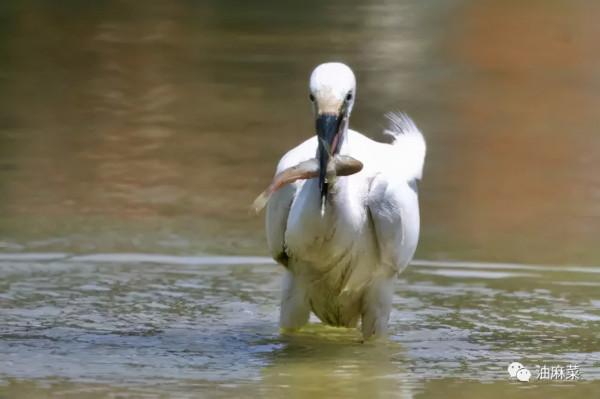 那些看似無聊的等待