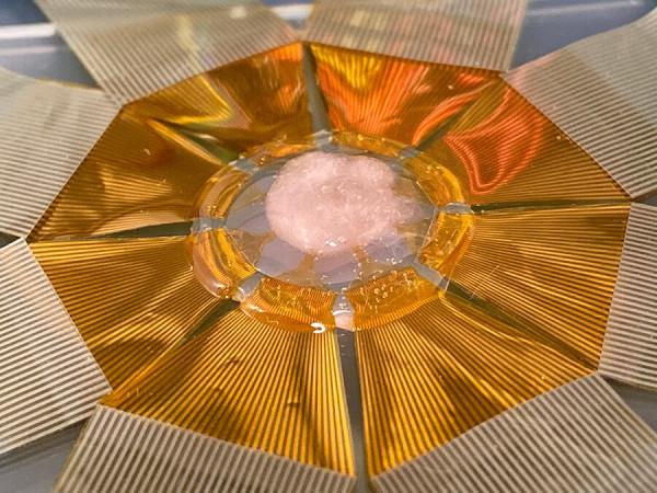 微型尖銳感測器FETs：可很快獲得比以往更詳細的心臟電訊號資訊