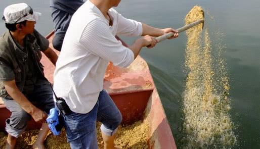 抽頻率做窩VS打重窩，最後結果如何？情理之中，意料之外