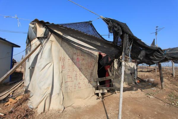 渭河最後的擺渡人，終將消失的古渡口