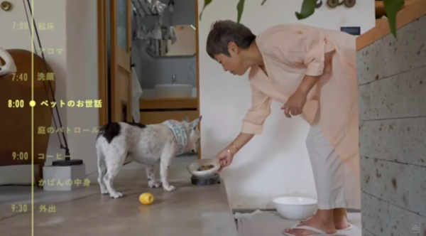 她從全職太太變成女總裁後,怒甩渣男,買7套房換著住:太爽了 她從全職太太變成女總裁後,怒甩渣男,買7套房換著住:太爽了