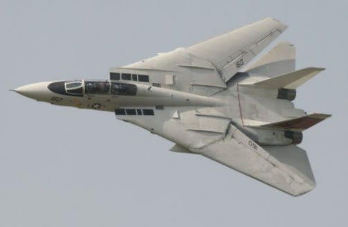 世界兵器大觀：F14雄貓戰鬥機