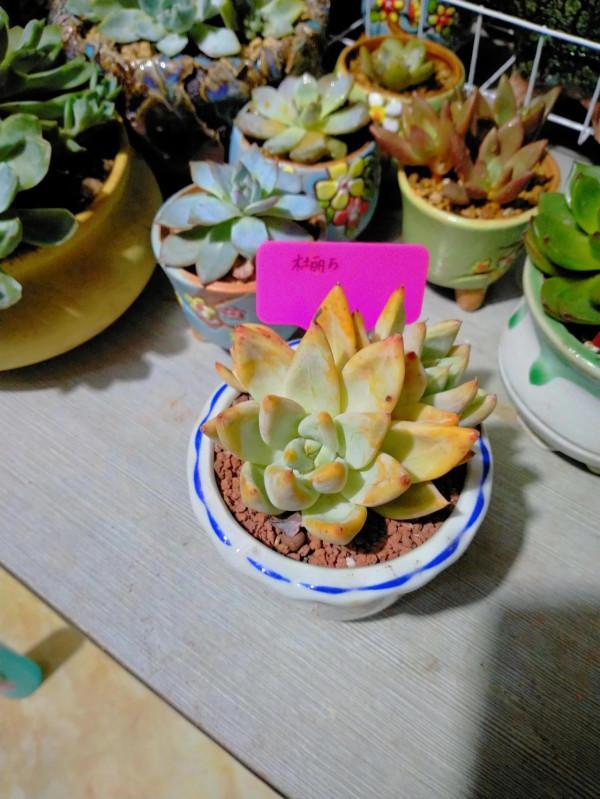 這天氣變的真快