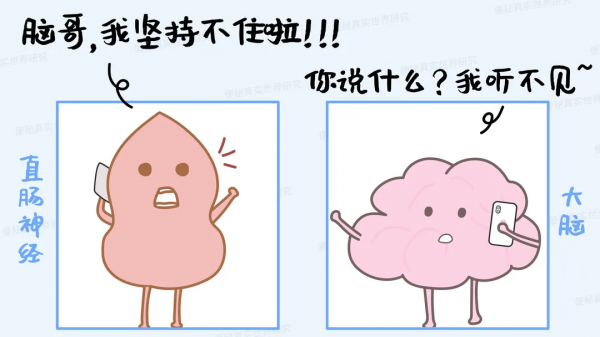 總便秘的人，身體到底是哪個部位出現了問題？