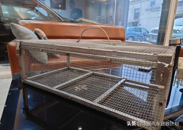 「縱橫四海」老夥計的重生之旅，一起暫別城市的方圓化身曠野的風