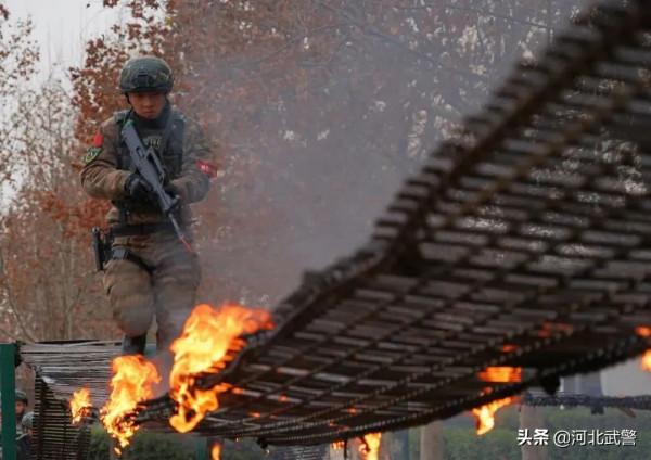 部隊食堂裡的臘八粥,一定有不一樣的寓意 部隊食堂裡的臘八粥,一定有不一樣的寓意
