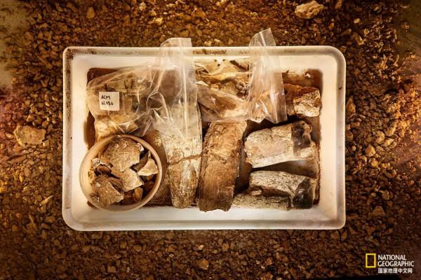 這一大片垃圾堆，竟藏滿了遠古寶藏