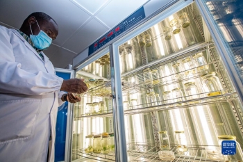 走進中肯作物分子生物學聯合實驗室「圖」