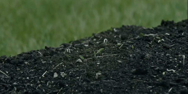 又來一部都市版《黃石》美劇,太狂野了 又來一部都市版《黃石》美劇,太狂野了