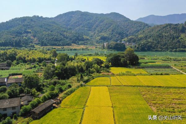有人說:“荒田無人耕,一耕有人爭”,你怎麼看農村的這種現象? 有人說:“荒田無人耕,一耕有人爭”,你怎麼看農村的這種現象?