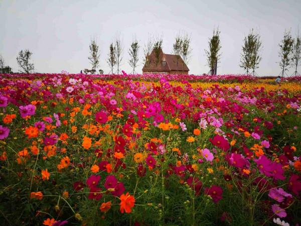 河南八個適合全家出遊的地方，你都知道在哪嗎？