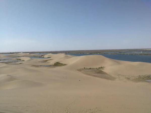 額濟納最全旅遊攻略，怎麼前往最方便？