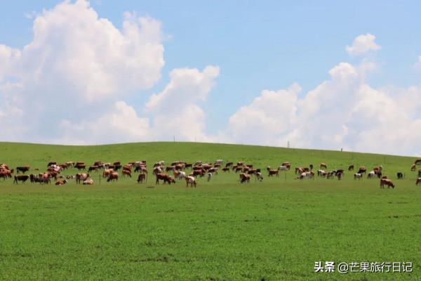 內蒙呼倫貝爾自由行，倆女生7天花費3200元，看看一路吃喝明細