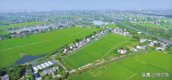 研究生也沒用！農村“獨姓”家庭，咋抵擋“大姓”群攻？4個方法