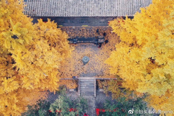 在北京過個秋天，立刻退掉了去騰衝的機票