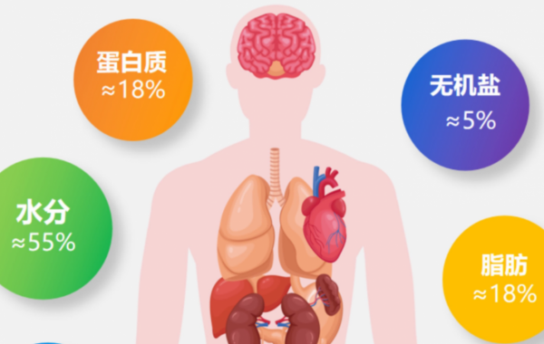 寵物到底用不用喂鹽?為什麼野生動物不用吃鹽,而人卻不吃不行? 寵物到底用不用喂鹽?為什麼野生動物不用吃鹽,而人卻不吃不行?