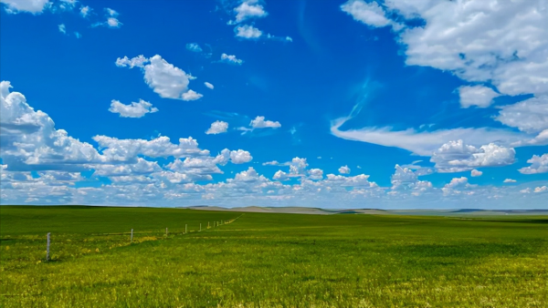 冬季的內蒙古草原有多美,去過的遊客講:一白遮百醜同樣適合那裡 冬季的內蒙古草原有多美,去過的遊客講:一白遮百醜同樣適合那裡