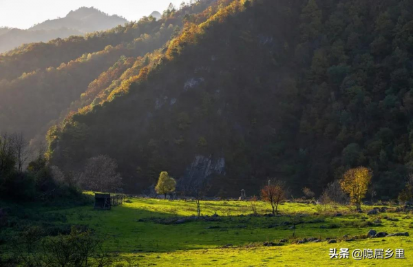 秦嶺紅葉房開售 | 一座座山間小屋，藏著秦嶺最美的秋