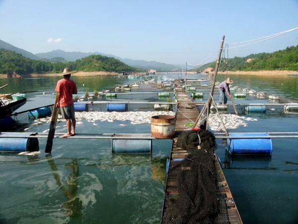 為什麼沖繩人不認同自己是日本人?日本人也瞧不起沖繩人? 為什麼沖繩人不認同自己是日本人?日本人也瞧不起沖繩人?
