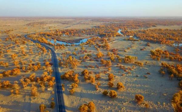 超1000毫米！印度首都新德里機場被淹，雨帶到底是北移還是南移？