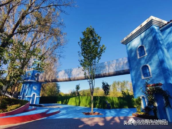 絕美的秋色，動物朋友們都陶醉了