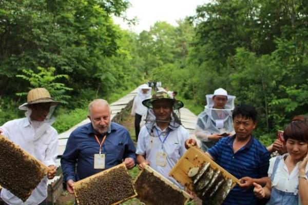 大叔養殖東北黑蜂，一年只需工作半個月，收穫超過一千五百萬元