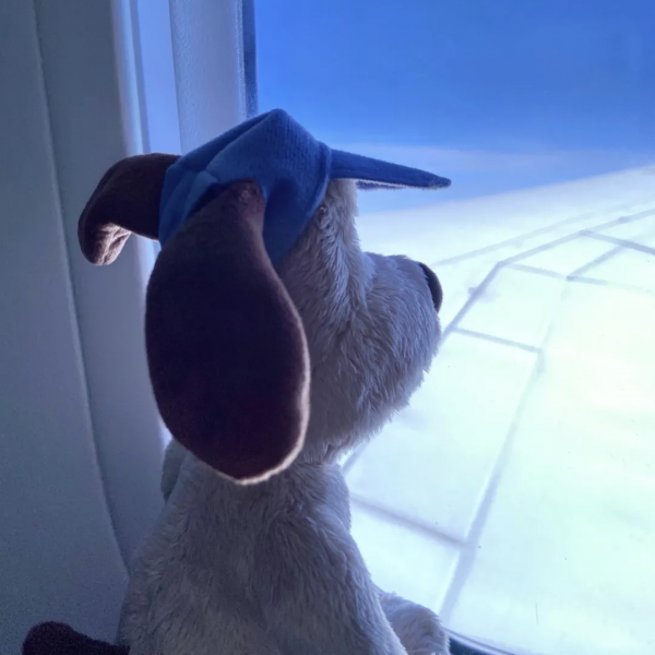 情侶頭像 l 和你的cp掛組情頭吧