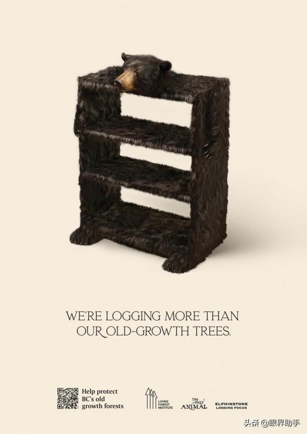 砍伐的不僅僅是樹木