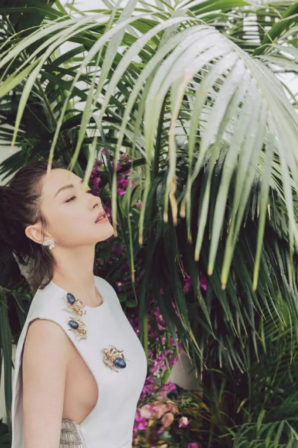 乘風破浪的姐姐萬茜 乘風破浪的姐姐萬茜