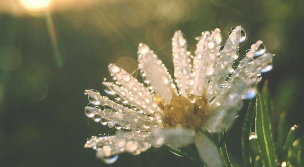 三十之後,4個星座,心眼好,善良有愛,幫助朋友毫不保留 三十之後,4個星座,心眼好,善良有愛,幫助朋友毫不保留