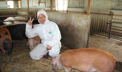 我國出現超級養豬場，年產量高達210萬隻，究竟是怎麼運作的？