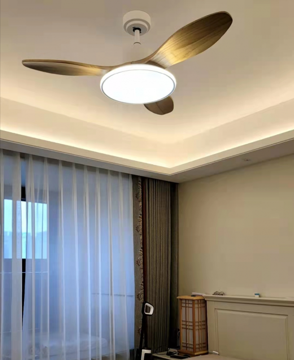 媳婦堅持裝吊扇燈,花2600元買了4個,還說:家要的就是舒適 媳婦堅持裝吊扇燈,花2600元買了4個,還說:家要的就是舒適