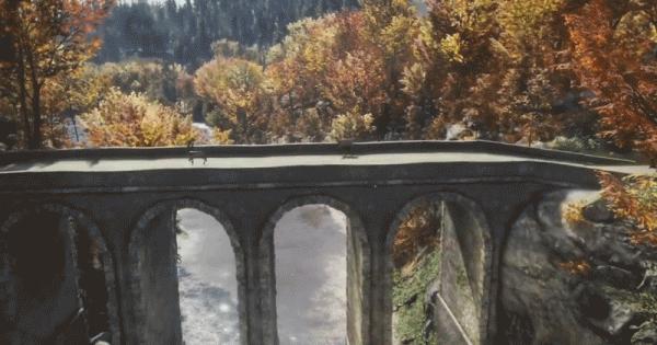 重構三維植被表型,計算呈現自然之美丨智言智語 重構三維植被表型,計算呈現自然之美丨智言智語