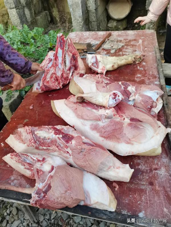 農村殺年豬吃殺豬飯的記憶,離我們越來越遠 農村殺年豬吃殺豬飯的記憶,離我們越來越遠