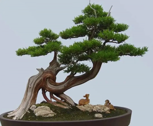 詩韻飛揚 / 趙秋 風攜小月畫蛾眉，霽雪壓枝枯葉垂