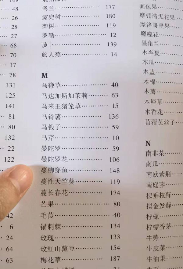 讓孩子們愛不釋手的植物新繪本，你知道《植物的朋友圈》有誰嗎？