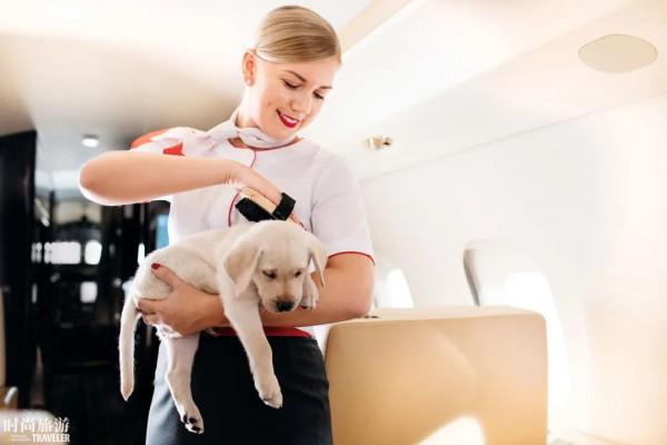 《寵物飛行須知》(建議萌寵們在人類的陪同下閱讀)