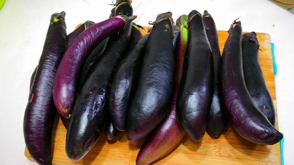 歷經兩季,秋天茄子能吃嗎?吃了對身體有何危害?為健康別再吃錯 歷經兩季,秋天茄子能吃嗎?吃了對身體有何危害?為健康別再吃錯