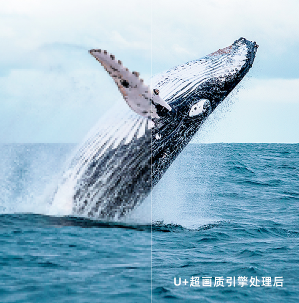 買了高效能電視卻劇荒了？榨乾電視效能的十部暴爽動作片推薦