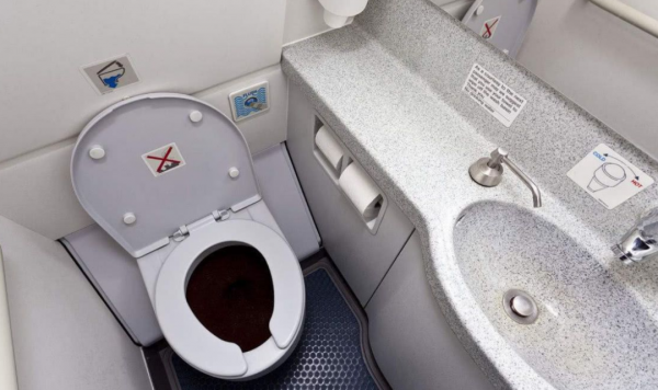 船舶上的糞便是怎麼處理的?會被直接排到大海里去餵魚嗎? 船舶上的糞便是怎麼處理的?會被直接排到大海里去餵魚嗎?