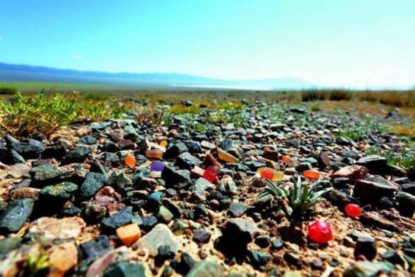 你想要來的新疆2022年是這樣的